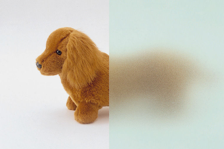 ﾃﾞｯｷﾌｪﾝｽ_ﾌﾟﾗｲﾊﾞｼｰﾊﾟﾈﾙ_T-10_ﾎﾟﾘｶ目隠し効果_ｸﾞﾘｰﾝﾏｯﾄﾊﾟﾈﾙ（ﾎﾟﾘｶ）