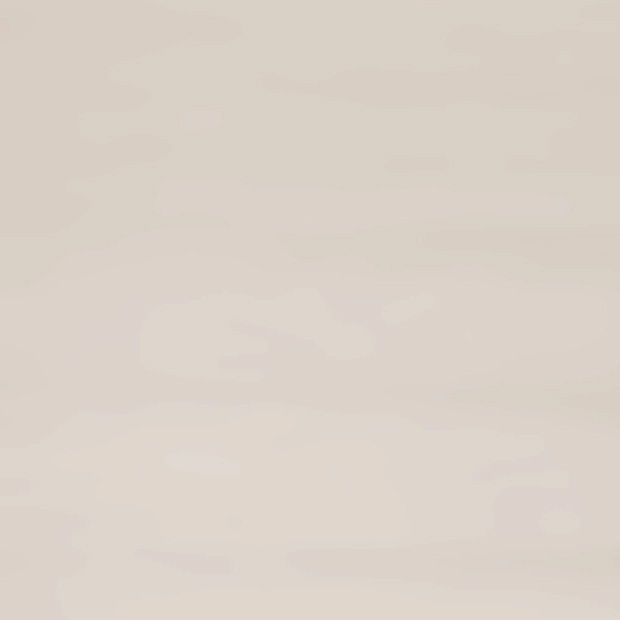 ﾃﾞｯｷﾌｪﾝｽ_ｱﾙﾐﾊﾟﾈﾙｶﾗｰ_ｼｬｲﾝｸﾞﾚｰ