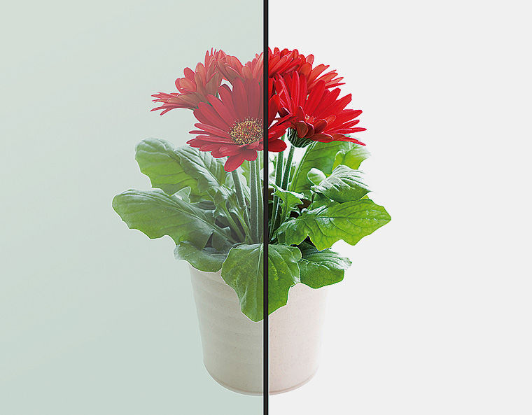 ﾄﾘﾌﾟﾙｶﾞﾗｽ_ｸﾞﾘｰﾝ×ｸﾞﾘｰﾝ_透過ｲﾒｰｼﾞ