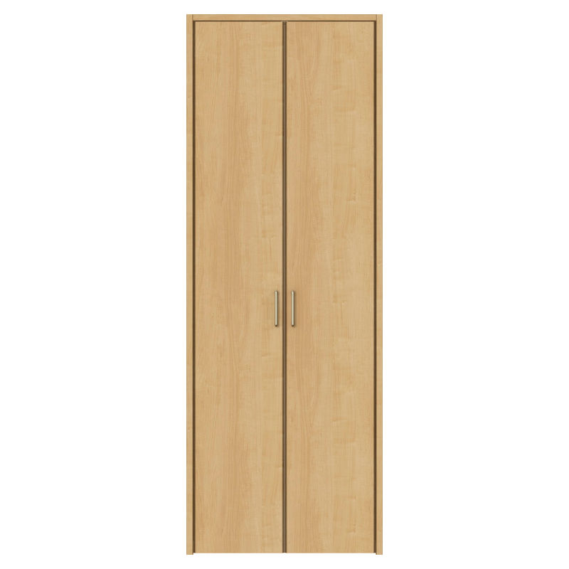 ラシッサS クローゼットドア 開き戸 両開き戸 H18／H20／H23 LAA