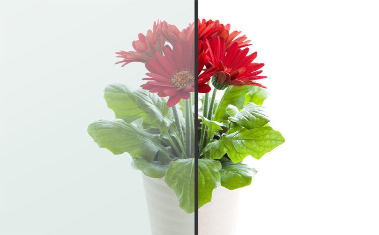 Low-E複層ｶﾞﾗｽ_ｸﾞﾘｰﾝ(高遮熱仕様)_透過ｲﾒｰｼﾞ