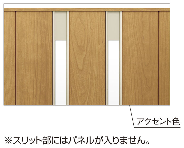 TS1型_本体ｱｯﾌﾟ(ｽﾘｯﾄ部)