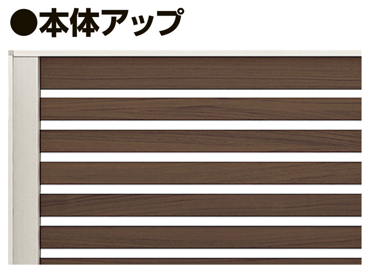 ｳｯﾃﾞｨYS1型_本体ｱｯﾌﾟ