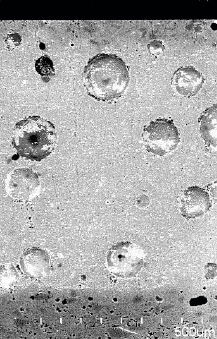 電子顕微鏡写真中の白色小斑点がジルコン鉱物