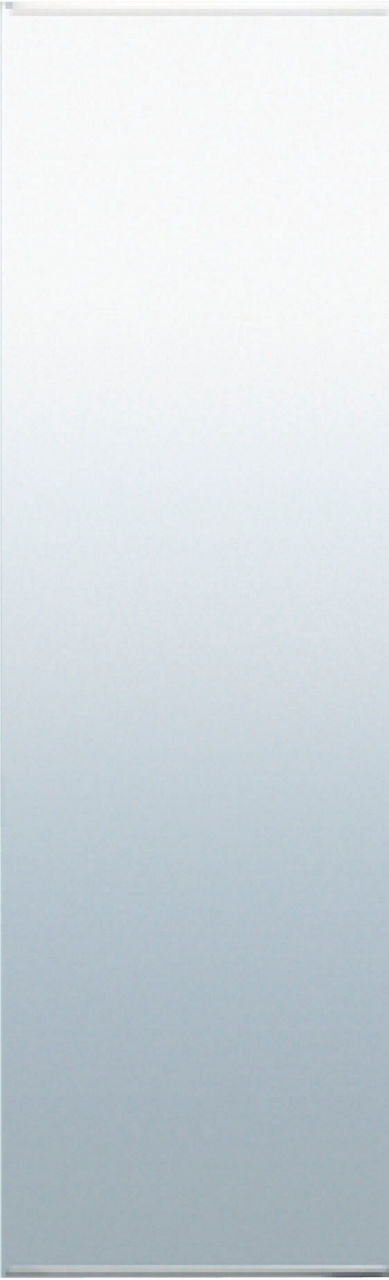 タテ長ミラー(30100)