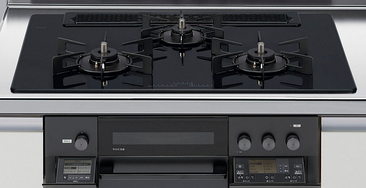 発根済み❗️グラキリス　Lサイズ 発根済み❗️グラキリス Lサイズ