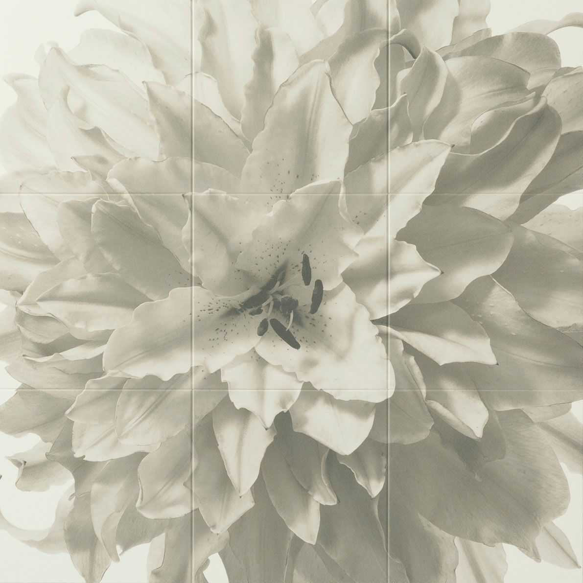 エコカラット_セルフ_Flower