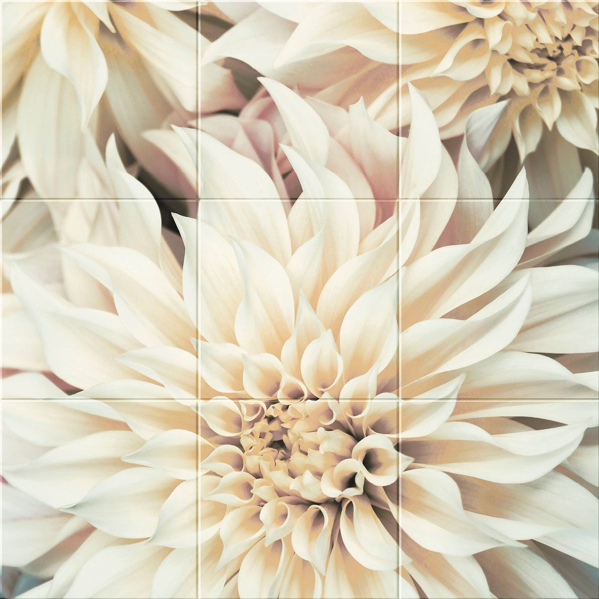 エコカラット_セルフ_Flower