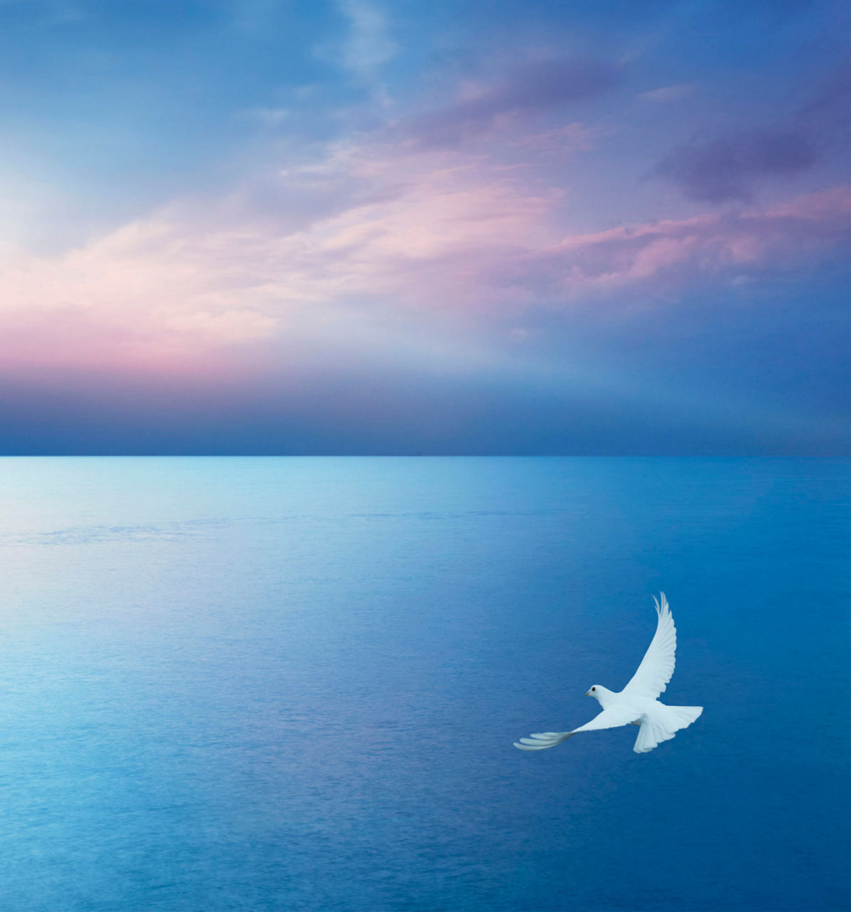 水と暮らしを見つめて1世紀。トイレの最先端のかたちがここに