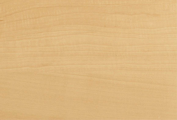 扉_カラーバリエーション