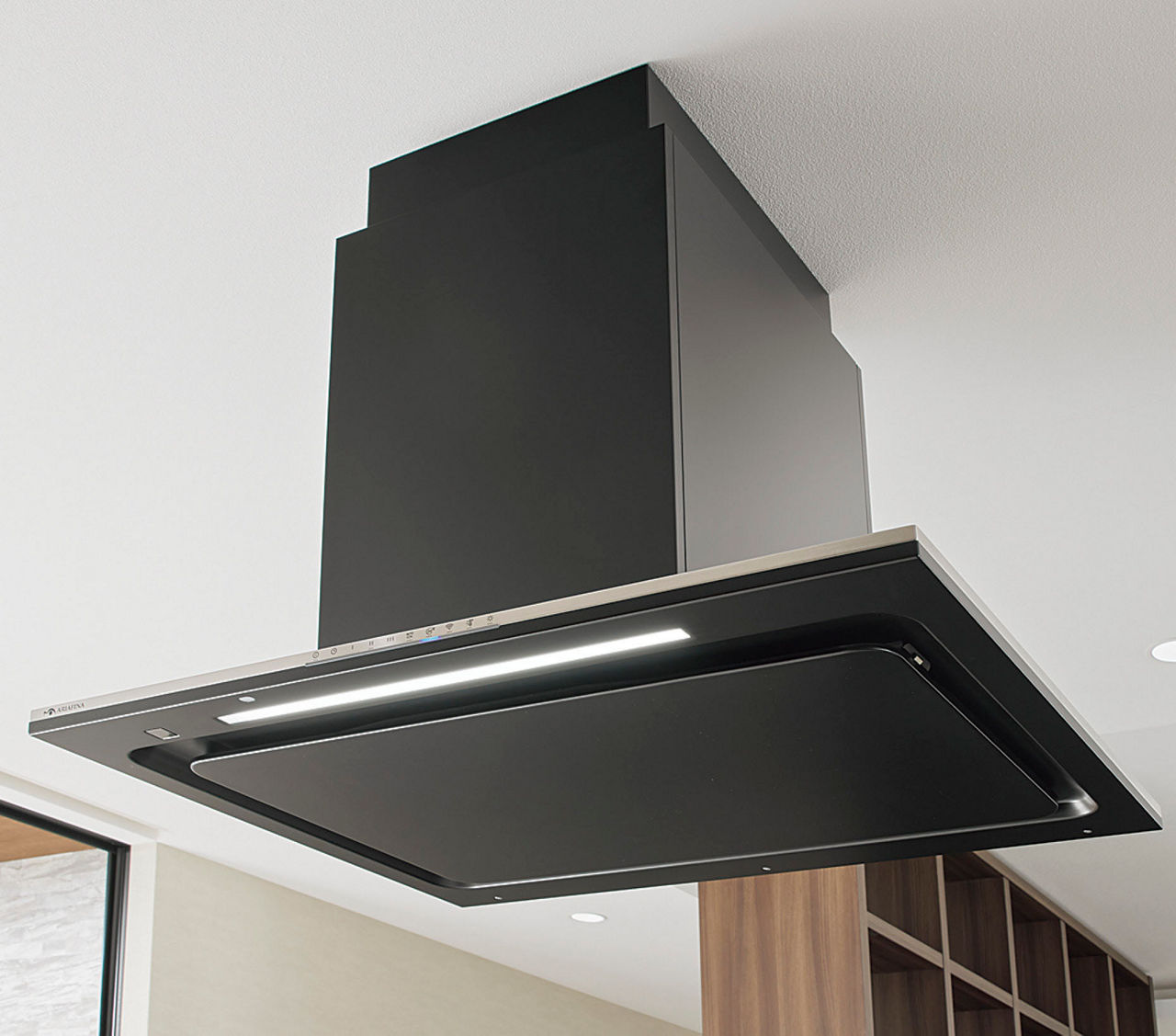 ライフアシスト2対応機種_N19_センターフード_VIAタイプ