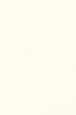 単色・抽象柄_グループ3_ファインクラフトシリーズ_カラーバリエーション_裏面