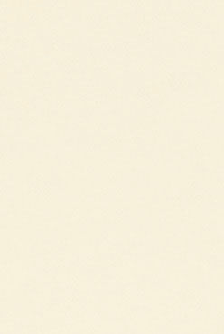 木目_グループ2_シャイニーウッドシリーズ_カラーバリエーション_裏面