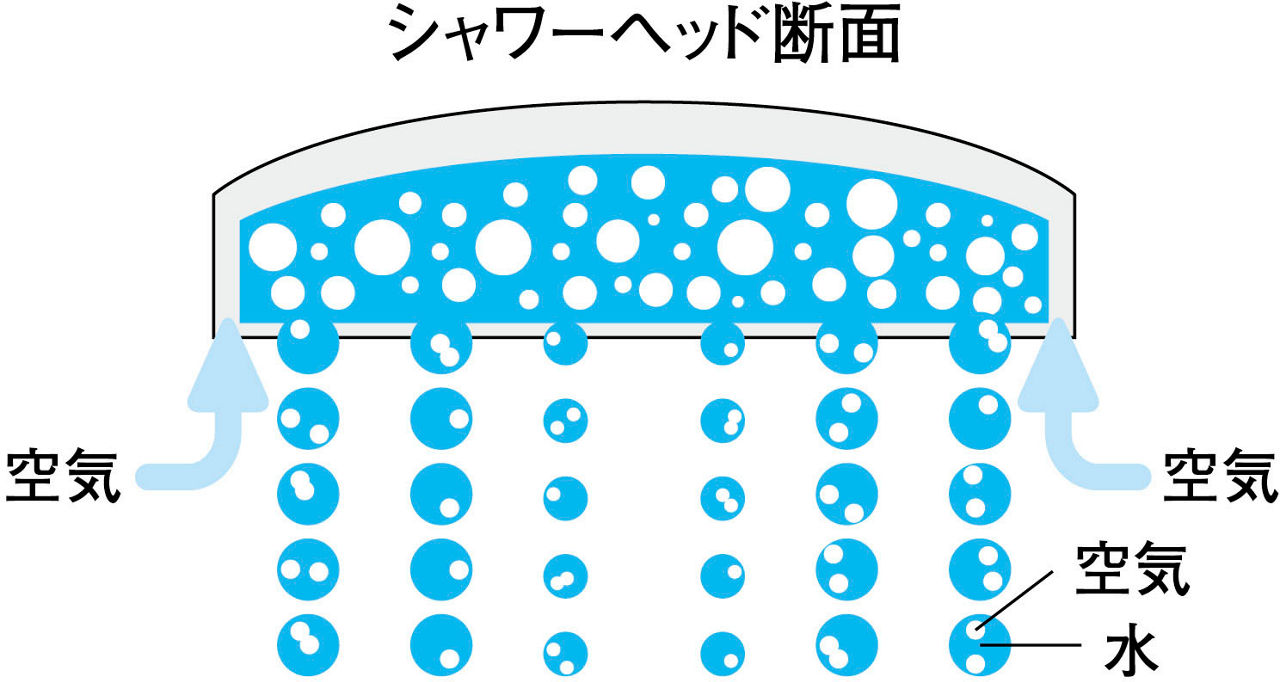 シャワーヘッド断面