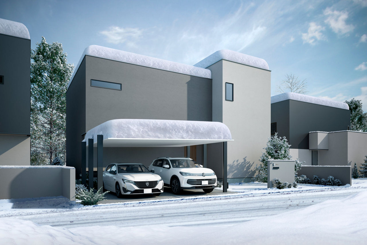 ｶｰﾎﾟｰﾄSC3000ﾀｲﾌﾟ2台用_60-50ﾅﾁｭﾗﾙｼﾙﾊﾞｰF_ﾌﾞﾗｯｸ