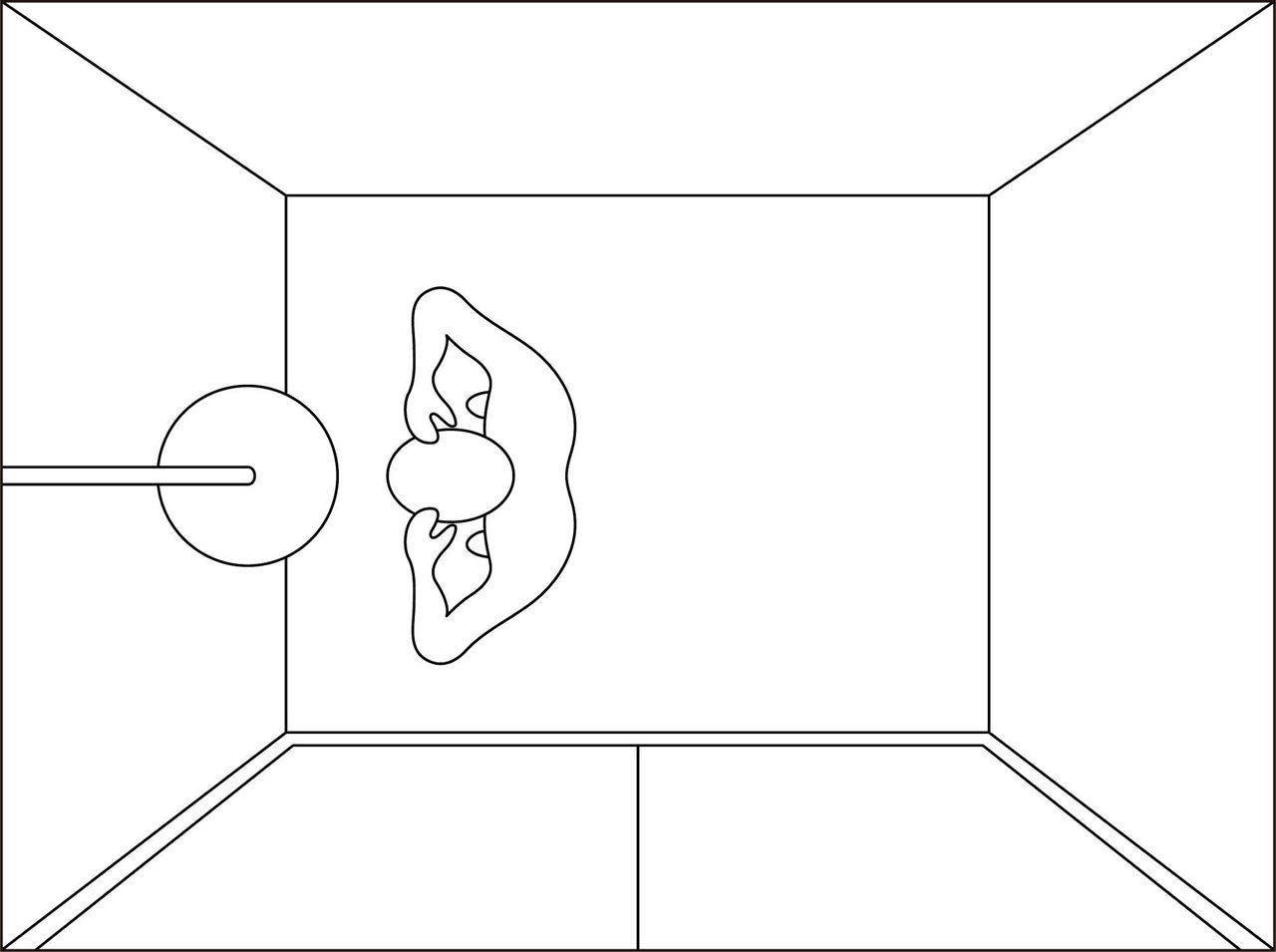 bathtope_features03-1