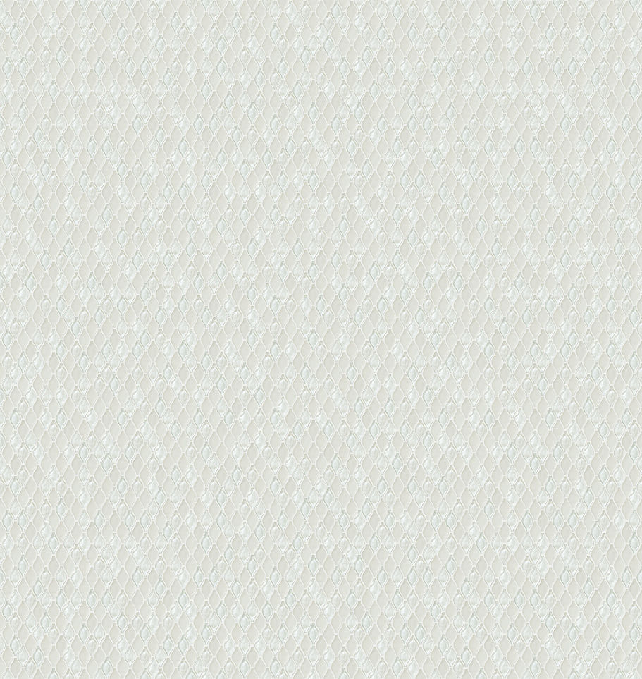 テクスチャデータ)ドリップガラス_特殊形状平ネット張り